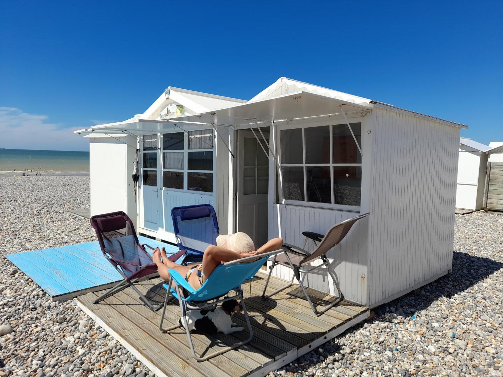 "Le Juguili" 46M2 En Front De Mer - 4 Personnes - Animaux Ok - Entierement Renove - Haut De Gamme - Wifi Mers-les-Bains Dış mekan fotoğraf