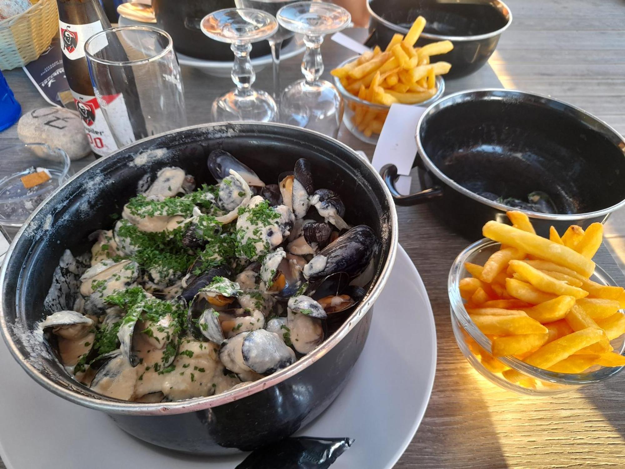 "Le Juguili" 46M2 En Front De Mer - 4 Personnes - Animaux Ok - Entierement Renove - Haut De Gamme - Wifi Mers-les-Bains Dış mekan fotoğraf
